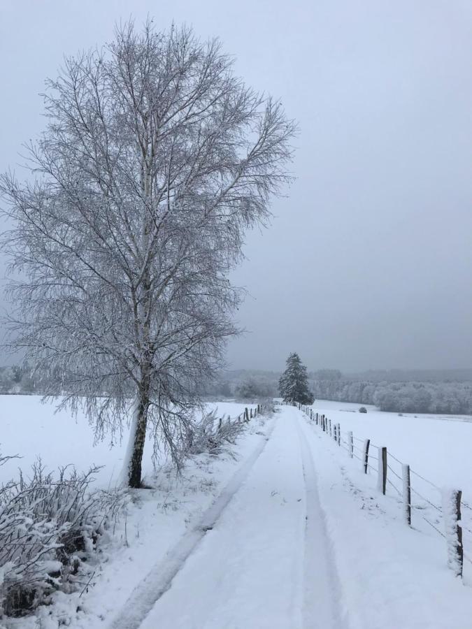 Gite Du Cheval Blanc A Houmont Sainte-Ode Eksteriør bilde
